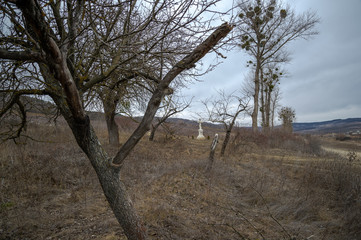 crucifixion in the forest