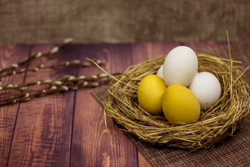 white and yellow Easter eggs and pussy willow on wooden background. Natural colored easter eggs in a nest.
