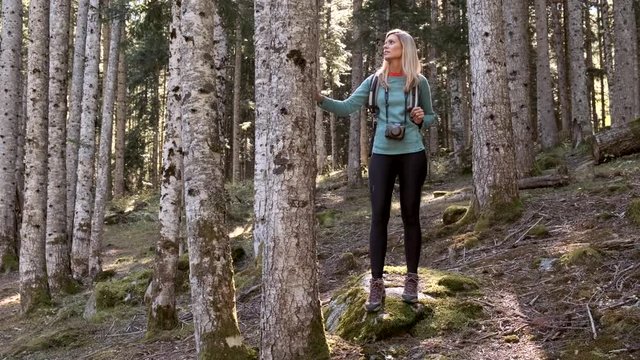 Video of pretty young woman traveler with backpack looking to the side while walking in the natural forest.