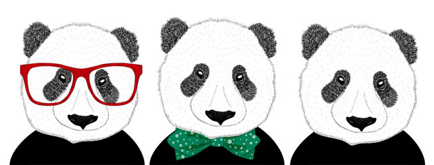 Hand drawn illustration of the head of a panda girl with a bow in the style of the 60s and a panda man in a tie, set.