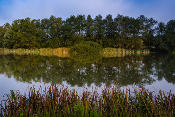 Hrase pond lake in summer morning