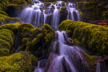 Naklejka premium Waterfall in Oregon - Waterfalls
