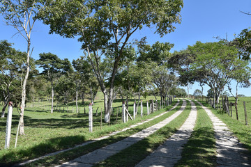 Route de campagne à Tonina, Mexique