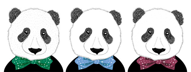 Hand drawn illustration of a panda head with a tie. Isolated cute fashion portrait on white background.