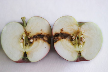 Damage caused by codling moth (Cydia pomonella) caterpillar in apple fruit