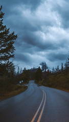 Naklejka premium road in mountains