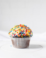 chocolate cupcake with sprinkles