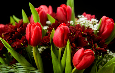 vibrant bouquet of red tulips and daisies