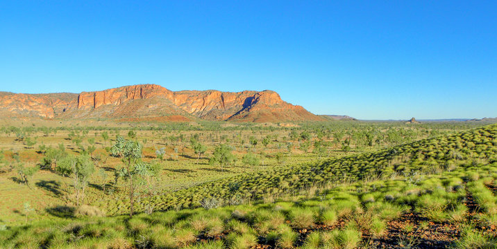 Landscape At Kimberley Western Australia West Coast Western Australia