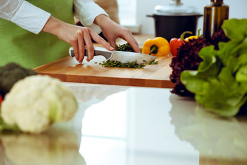 Unknown human hands cooking in kitchen. Woman is busy with vegetable salad. Healthy meal, and vegetarian food concept