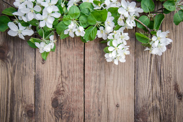 Branches of a blooming apple tree with white flowers on a wooden background, with copy space