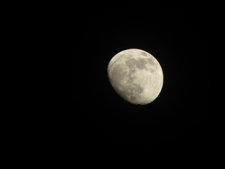Moon