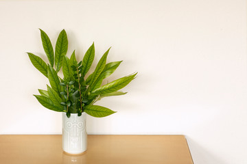 Funny, creative green bouquet made of green leaves in vase with face motif. Home decoration on white background.