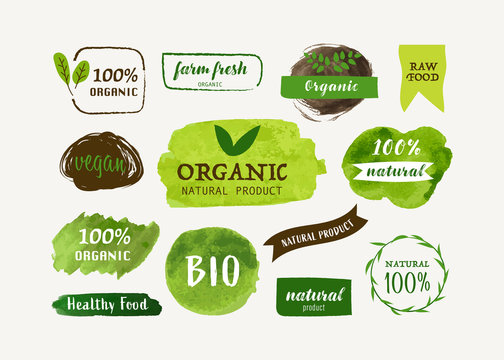 Organic label and natural green label handdrawn brush stain. Tag and Sticker Farm fresh logo vegan food mark.