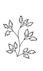 Abstract doodle single floral element for decoration patterns, wrapping paper, wallpaper, cards, invitations, packing boxes, bouquets. Isolated on white background. Vector stock illustration.