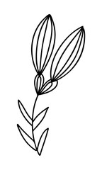 Abstract doodle single floral element for decoration patterns, wrapping paper, wallpaper, cards, invitations, packing boxes, bouquets. Isolated on white background. Vector stock illustration.