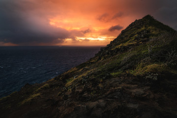Naklejka premium Oahu Hawaii Lighthouse Trail
