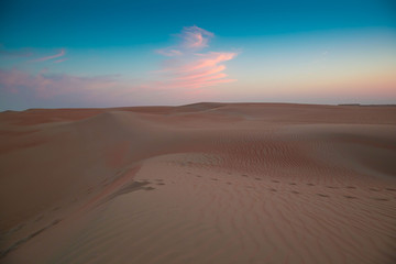 Naklejka na ściany i meble UAE. Desert landscape