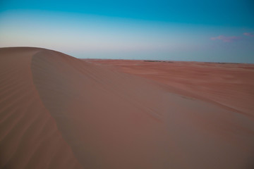 Obraz na płótnie Canvas UAE. Desert landscape