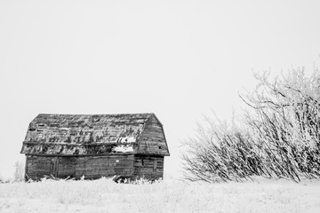 No matter where you drive in the country you can;t go far without passing an abondoned pice of history. Alberta, Canada