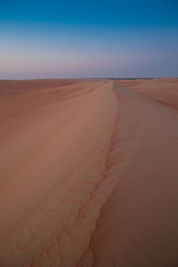 Fototapeta na wymiar UAE. Desert landscape