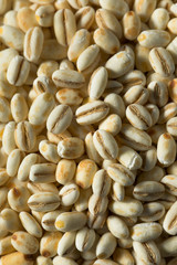 Raw Organic Italian Pearl Barley