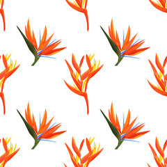 Heliconia and strelizia flowers vector illustration. Tropical orange plants background.
