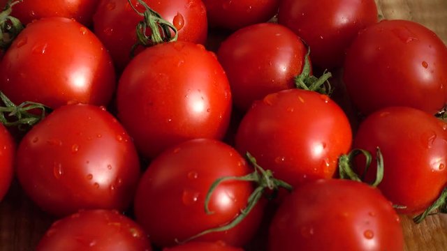 Cherie's tomatoes. Shooting in the movement.