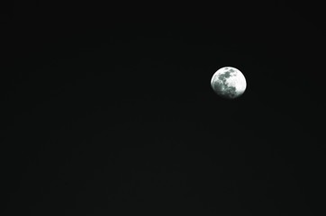 moon in the dark