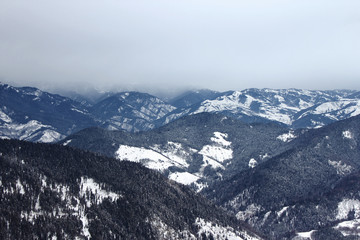 Fototapeta premium View of snowy mountains with forest in Bakuriani, Georgia