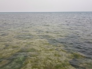 The clear waters of the Mediterranean reveal the vegetation of the seabed