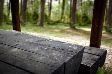 Fototapeta premium Table background of free space and spring blurred garden 