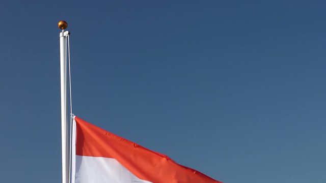 Raising The India Flag - Flying In The Wind Outside With Blue Sky Behind - Indian Flag  - Stock Video Clip Footage