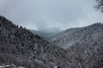 View of snowy mountains with forest in Bakuriani, Georgia