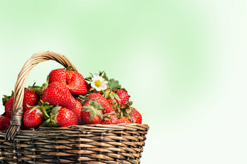 Basket of fresh strawberries on bokeh background