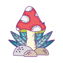 mushroom leaves foliage botanical rocks on white background