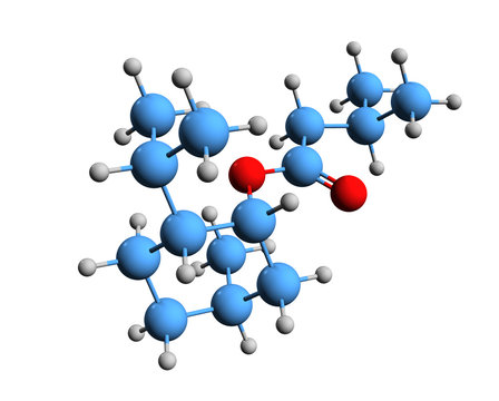 3D image of validol skeletal formula - molecular chemical structure of Menthyl isovalerate isolated on white background