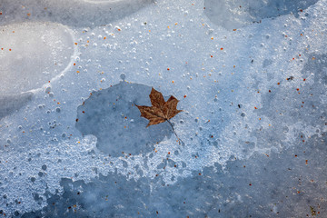 a yellow leaf lies on the ice of a frozen lake