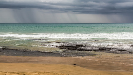 Muriwai Beach, Auckland