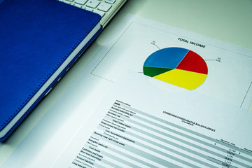 Business composition. Financial analysis - income statement, business plan