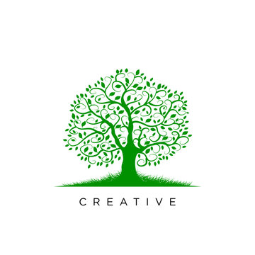 abstract green tree logo design vector