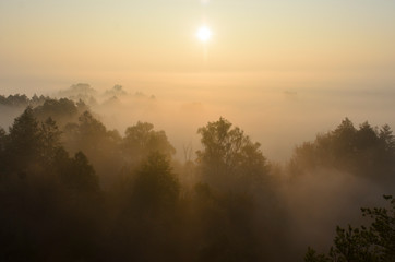 Dawn on a foggy morning, trees and hills in the fog, beautiful morning light and magical atmosphere.