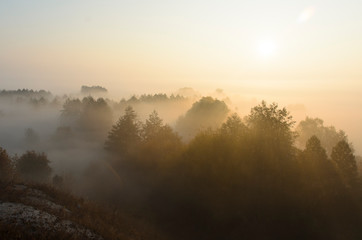 Dawn on a foggy morning, trees and hills in the fog, beautiful morning light and magical atmosphere.