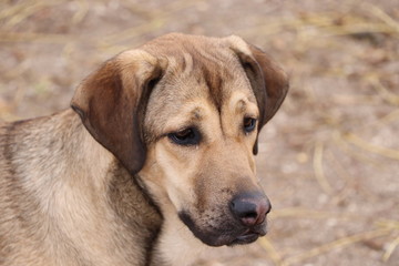naturaleza esplendor belleza 