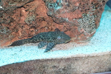 naturaleza esplendor belleza 