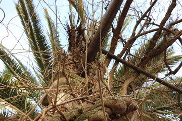 naturaleza esplendor belleza 