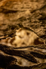 Reflection of light in a puddle