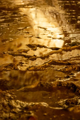 Reflection of light in a puddle