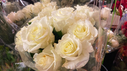 White Roses