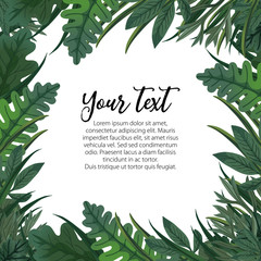 frame made with green leaves and grass on white background with space for text